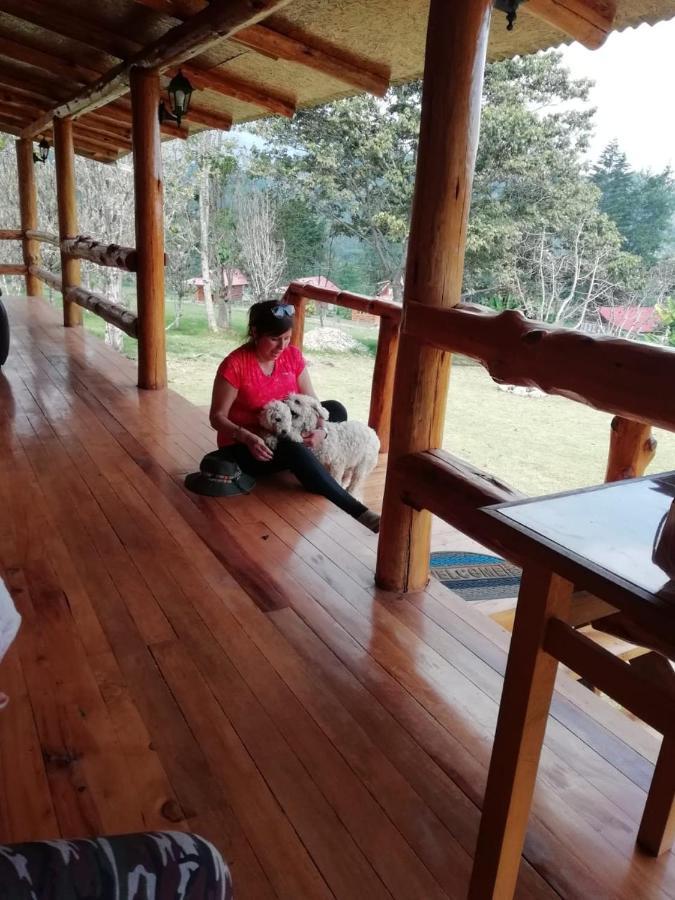 Hassinger Ranch Cabanas Oxapampa Luaran gambar